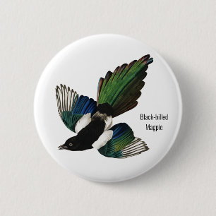 Black-billed Magpie, Audubon, American Birder, 6 Cm Round Badge
