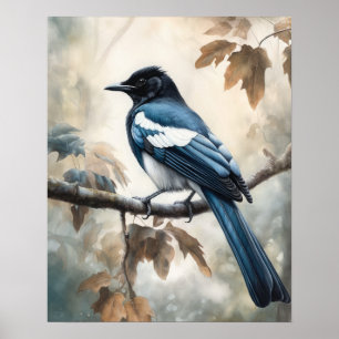 Black Billed Magpie Bird Art Print Poster