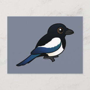 Black-billed Magpie Postcard