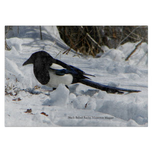 Black Billed Rocky Mountain Magpie cutting board