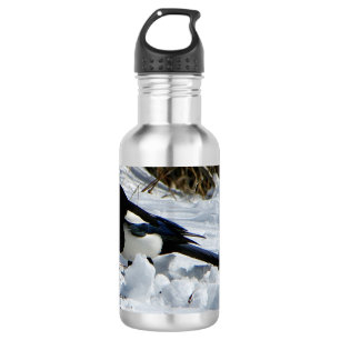 Black Billed Rocky Mountain Magpie water bottle