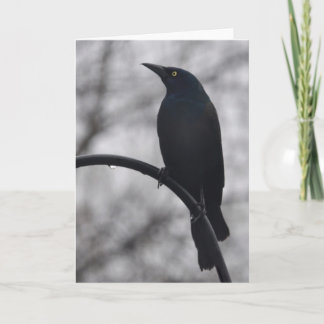 Black Bird Card