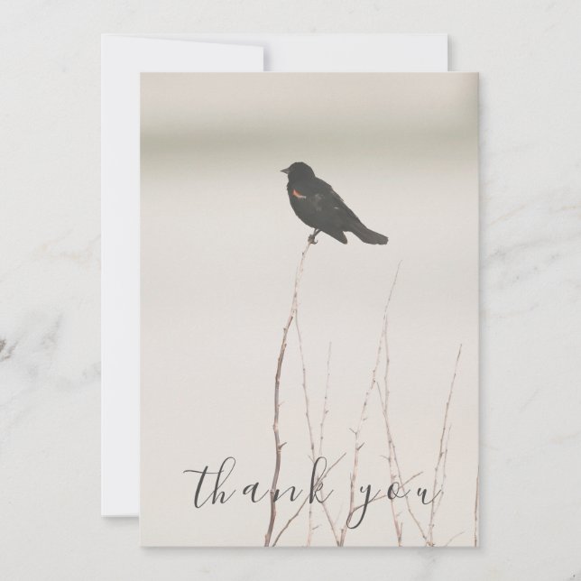 Black Bird On Barren Branch Flat Thank You Card (Front)