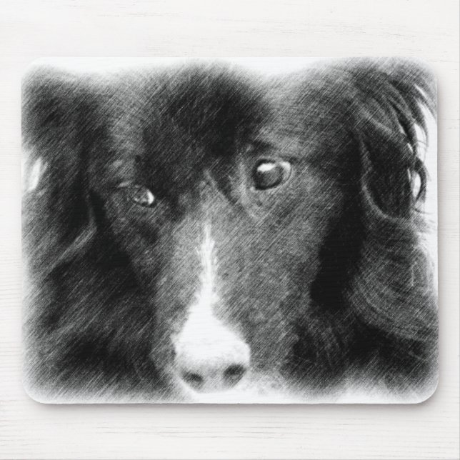 Black Border Collie Animal Art Mouse Pad (Front)