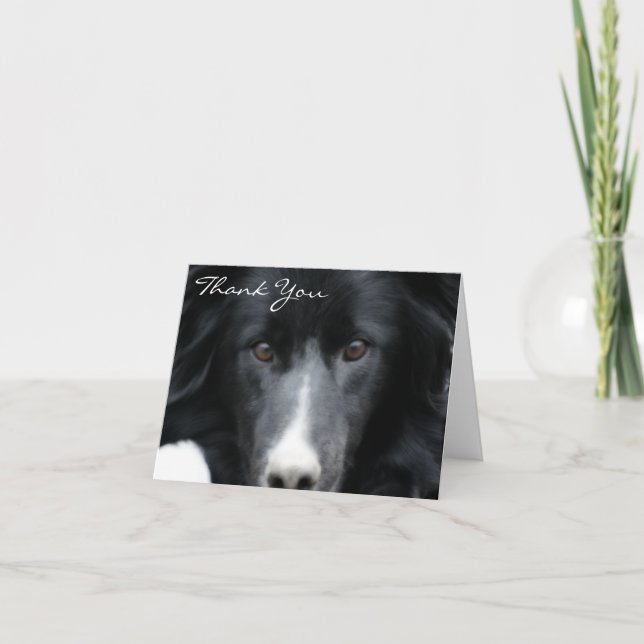 Black Border Collie Face Dog Thank You Card (Front)