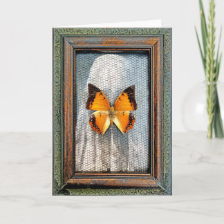 Black-Bordered Charaxes Butterfly Greeting Card NV