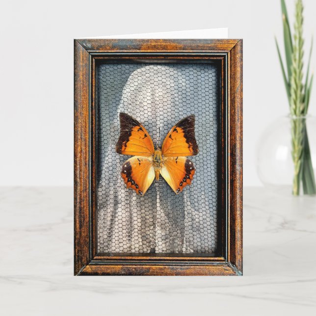 Black-Bordered Charaxes Butterfly Greeting Card V2 (Front)