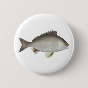 Black Bream 6 Cm Round Badge