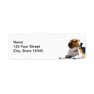 Black Brown and White Beagle Dog Return Address Label
