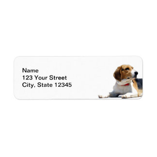 Black Brown and White Beagle Dog Return Address Label
