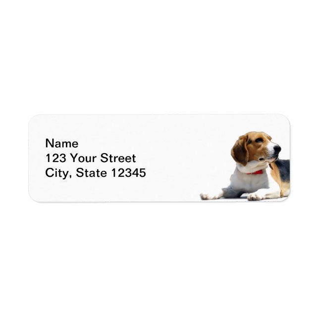 Black Brown and White Beagle Dog Return Address Label (Front)