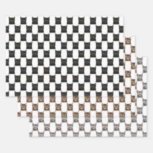Black Brown Grey Cat Portraits Wrapping Paper Sheet