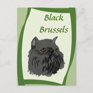 Black Brussels Griffon Postcard