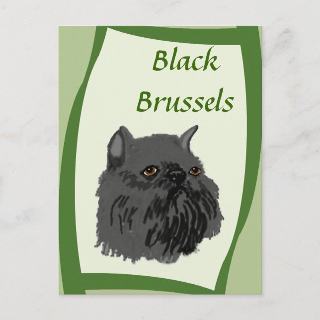 Black Brussels Griffon Postcard (Front)