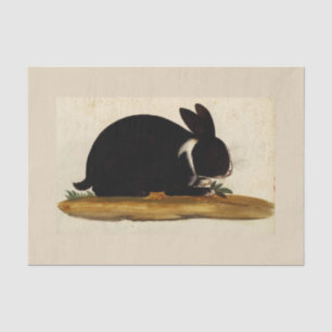 BLACK BUNNY RABBIT Custom 10lb Tissue Paper, White Tissue Paper