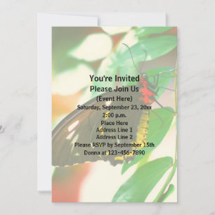 Black Butterfly Nature  Invitation