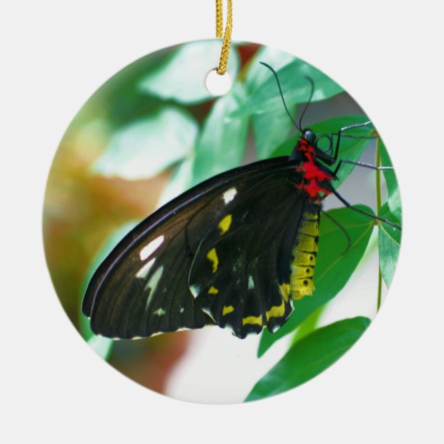 Black Butterfly Nature Ornament (Front)