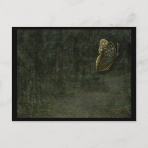 Black Butterfly Postcard