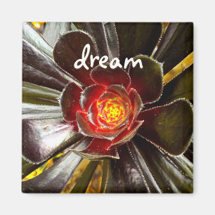 Black Cactus Photo Dream Quote Script Modern Bold Magnet