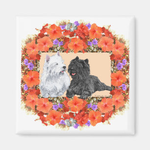 Black Cairn and Westie Terriers in Floral Magnet