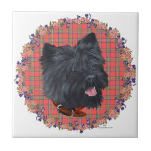 Black Cairn Head Study Ceramic Tile