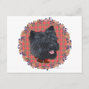 Black Cairn Head Study Postcard