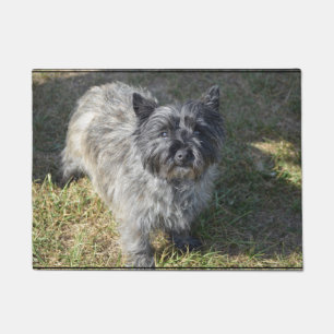 Black Cairn Terrier Doormat