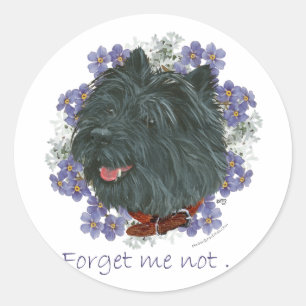 Black Cairn Terrier Forget-me-not Classic Round Sticker