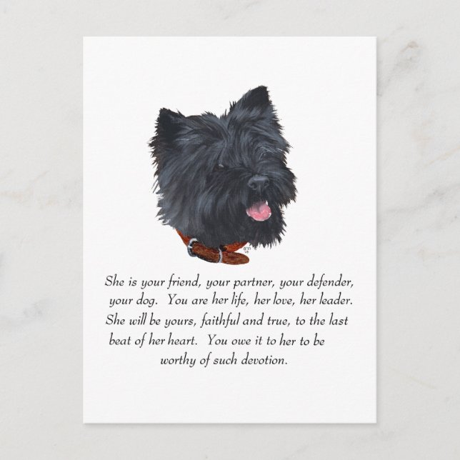 Black Cairn Terrier Keepsake - Female Postcard (Front)
