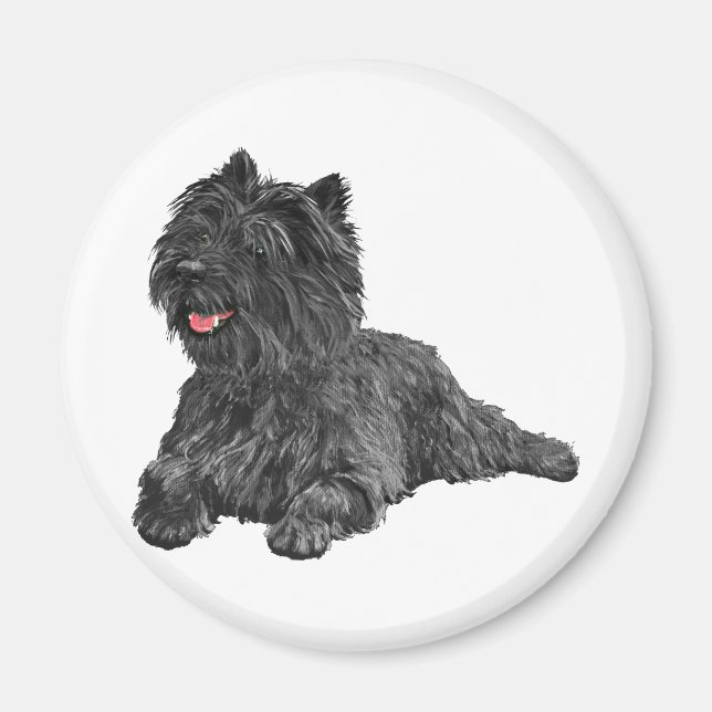 Black Cairn Terrier Magnet (Front)
