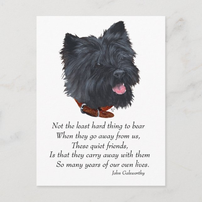 Black Cairn Terrier Rainbow Bridge Postcard (Front)