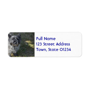 Black Cairn Terrier Return Address Label