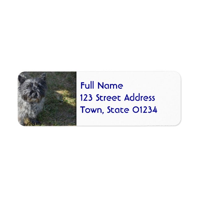 Black Cairn Terrier Return Address Label (Front)