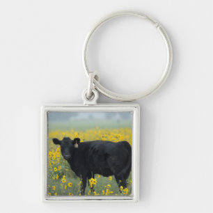 Black Calf in a Field of Sunflowers Key Ring