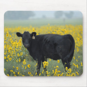 Black Calf in a Field of Sunflowers Mouse Pad