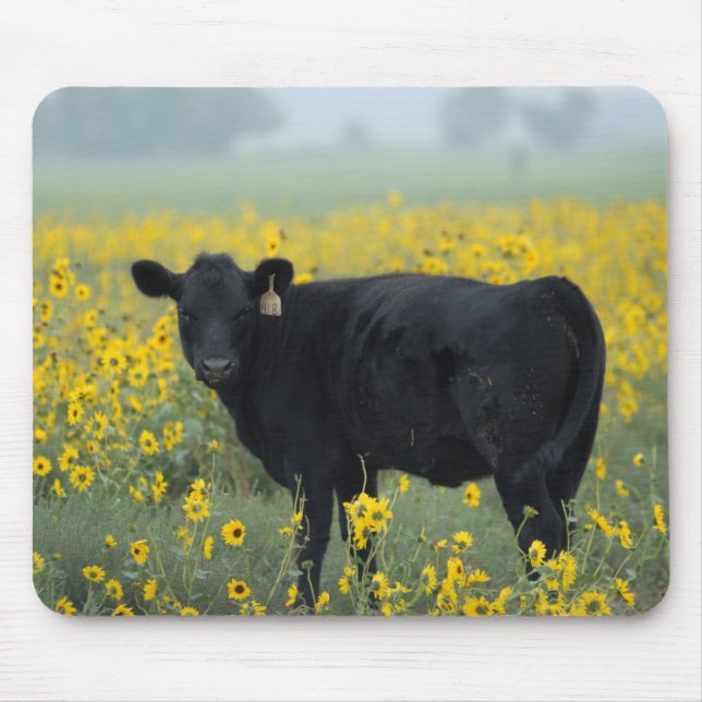 Black Calf in a Field of Sunflowers Mouse Pad (Front)