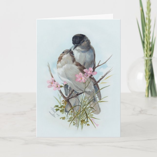 Black Cap Warblers Card (Front)