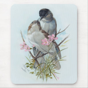 Black Cap Warblers Mouse Pad