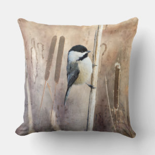 Black Capped Chickadee and Cattails in Marsh Cushion