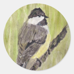 Black-capped Chickadee Bird - acrylic painting. Classic Round Sticker