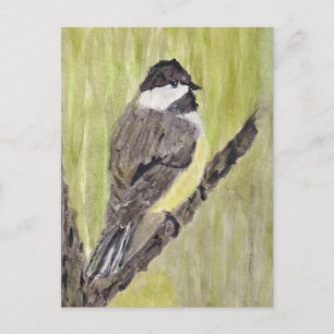 Black-capped Chickadee Bird - acrylic painting. Postcard