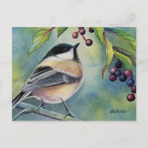 Black Capped Chickadee Bird Berries Watercolor Art Postcard