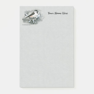Black Capped Chickadee Bird Green Post-it Notes