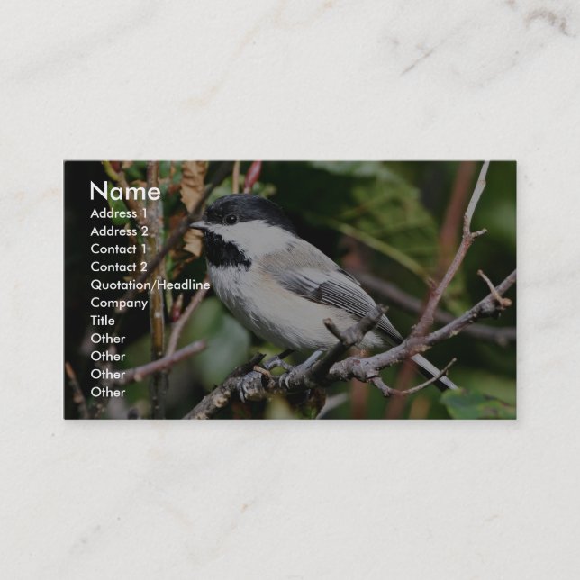 Black-capped chickadee business card (Front)