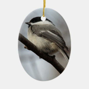 Black Capped Chickadee Ceramic Tree Decoration