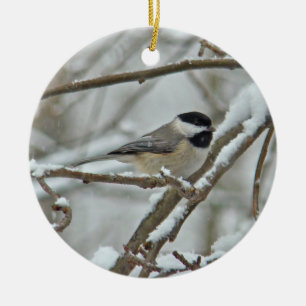 Black Capped Chickadee Christmas Ornament