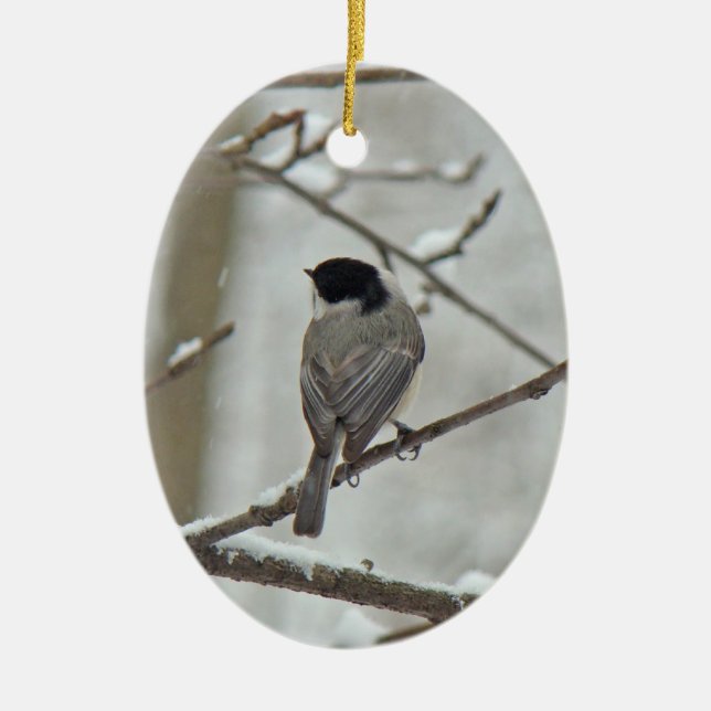 Black Capped Chickadee Christmas Ornament (Front)