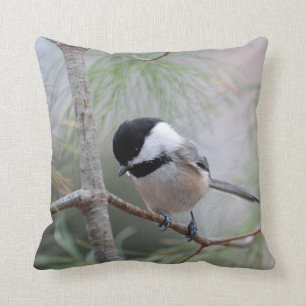 Black-capped chickadee cushion