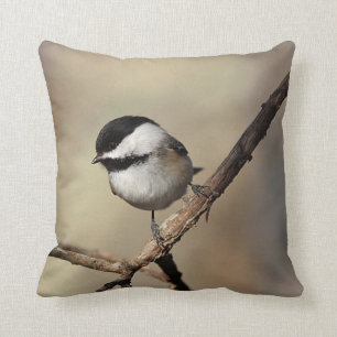 Black-capped chickadee cushion