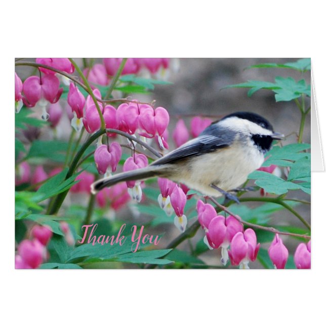 Black Capped Chickadee Greeting Card (Front Horizontal)